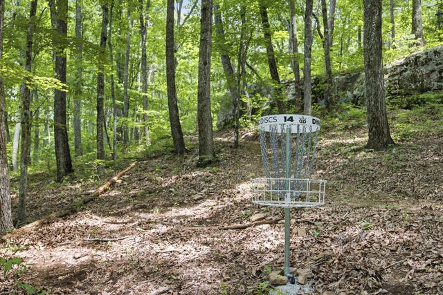 0 Worley Road Lot 2, Soddy Daisy, TN 37379