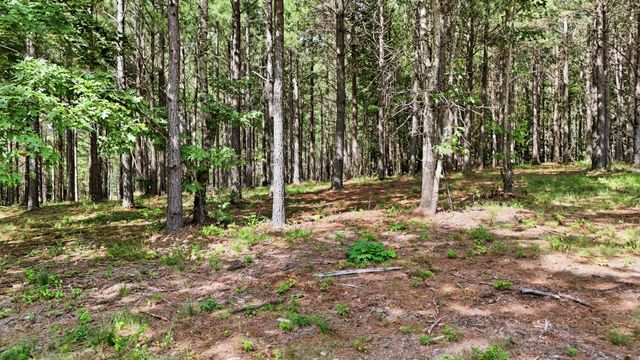 0 Worley Road Lot 2, Soddy Daisy, TN 37379