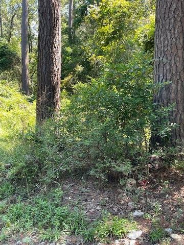 0 Idle Wild Road, New Caney, TX 77357