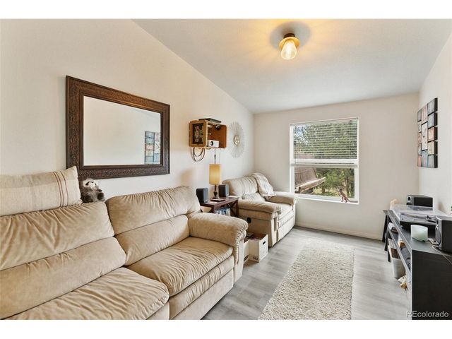 1058 Hackamore Dr, Florissant, CO 80816