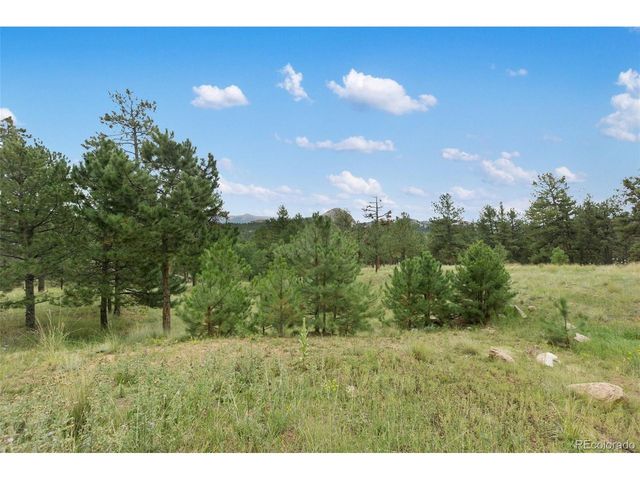 1058 Hackamore Dr, Florissant, CO 80816