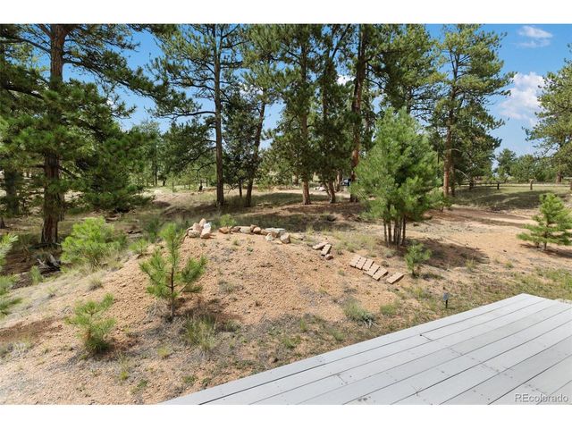 1058 Hackamore Dr, Florissant, CO 80816