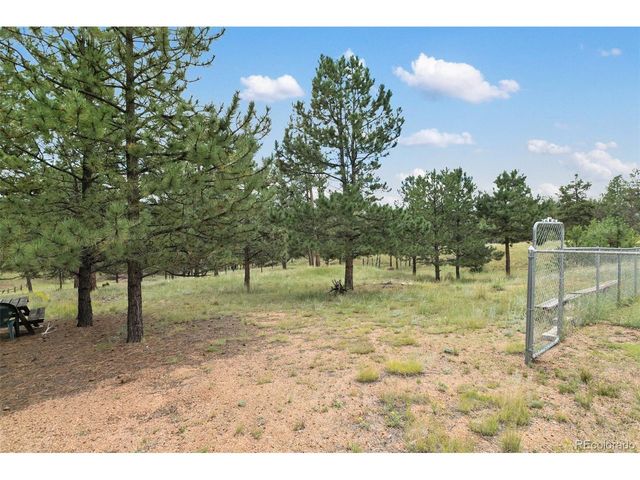 1058 Hackamore Dr, Florissant, CO 80816