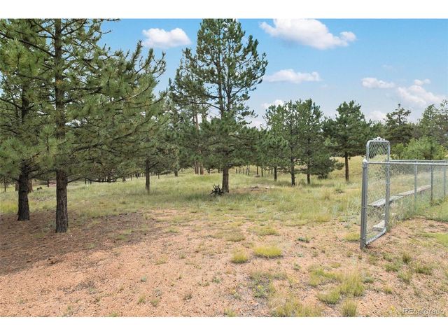 1058 Hackamore Dr, Florissant, CO 80816