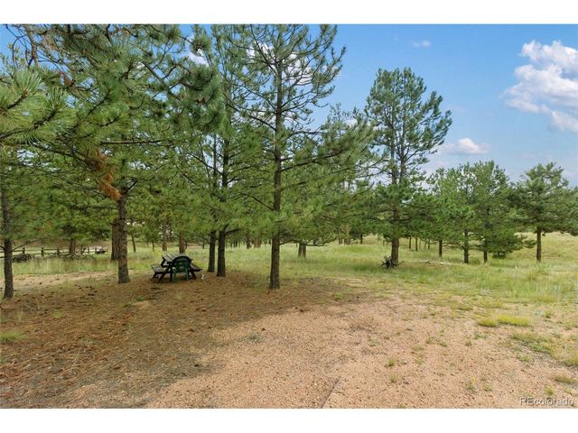 1058 Hackamore Dr, Florissant, CO 80816