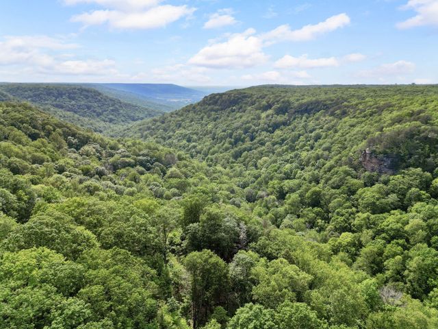 232 Hollingsworth Cove Rd, Monteagle, TN 37356