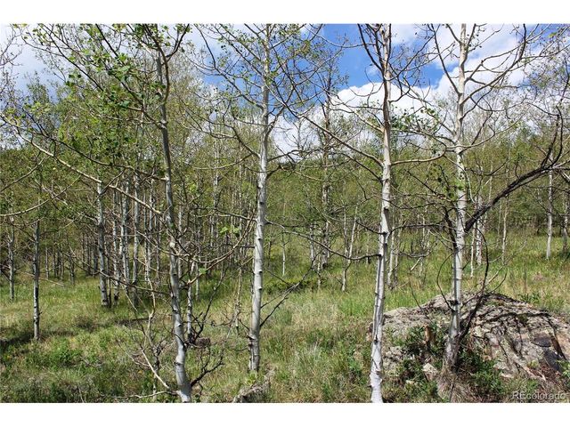 0 Quartz Hill Rd, Central City, CO 80427