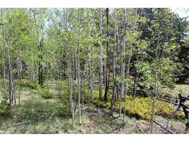 0 Quartz Hill Rd, Central City, CO 80427