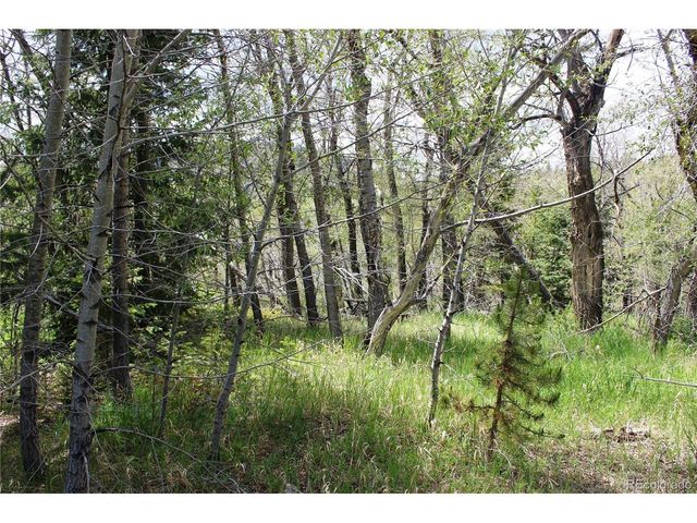 0 Quartz Hill Rd, Central City, CO 80427