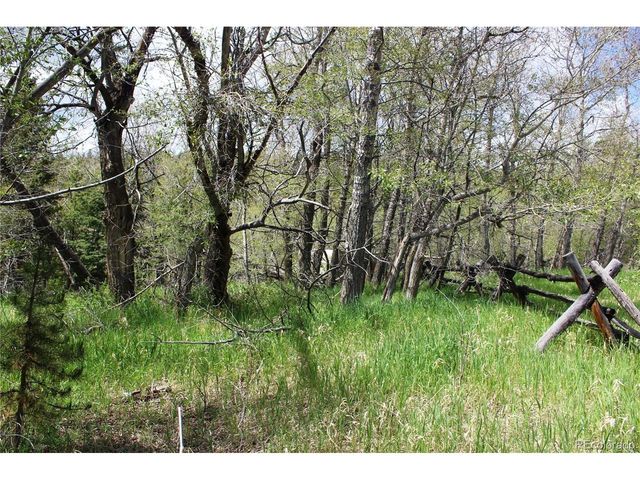 0 Quartz Hill Rd, Central City, CO 80427