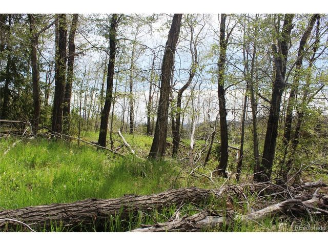 0 Quartz Hill Rd, Central City, CO 80427