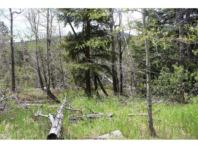 0 Quartz Hill Rd, Central City, CO 80427