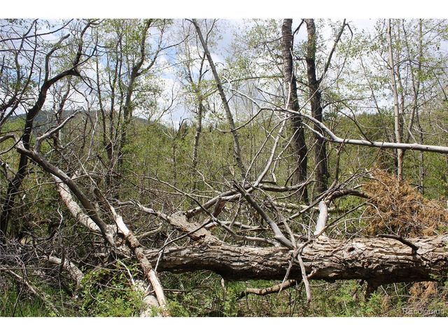 0 Quartz Hill Rd, Central City, CO 80427
