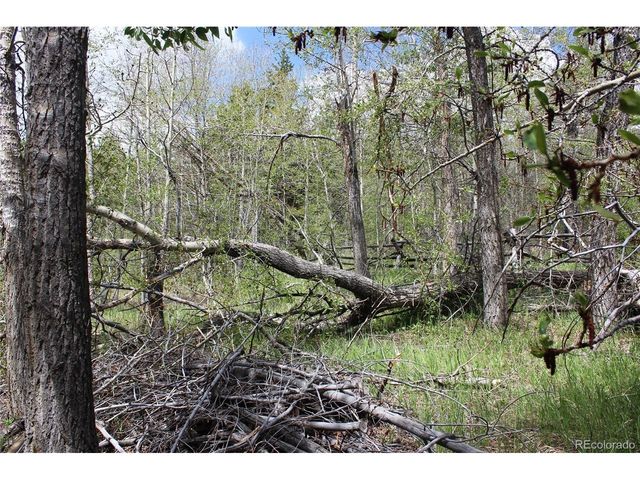 0 Quartz Hill Rd, Central City, CO 80427
