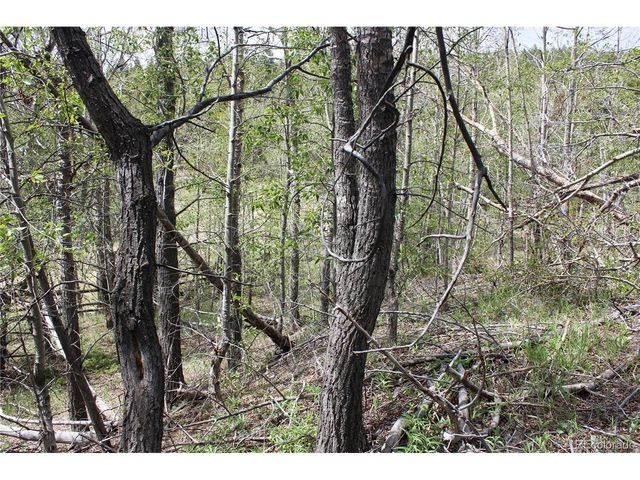 0 Quartz Hill Rd, Central City, CO 80427