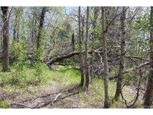 0 Quartz Hill Rd, Central City, CO 80427
