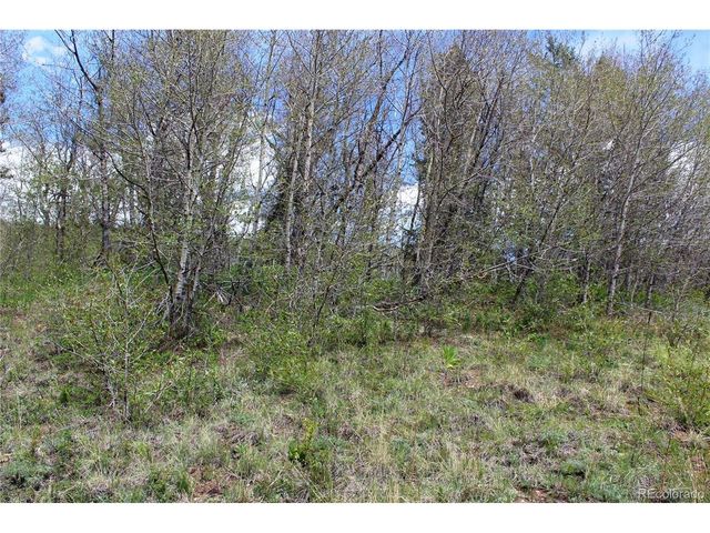 0 Quartz Hill Rd, Central City, CO 80427