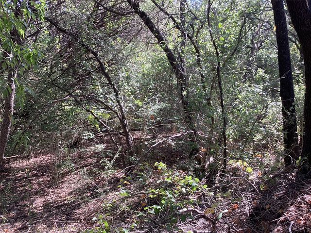 1225 Cedar Break Court, Cleburne, TX 76033