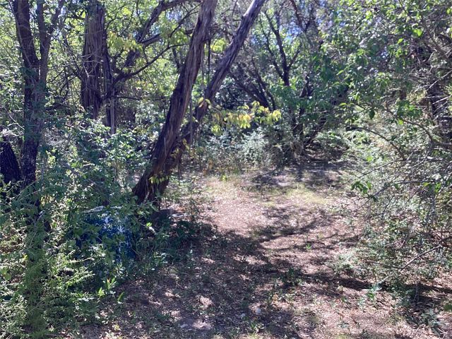 1225 Cedar Break Court, Cleburne, TX 76033
