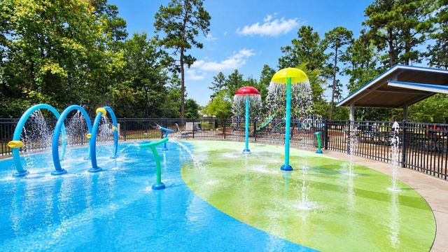 135 Piney Pathway, Magnolia, TX 77354