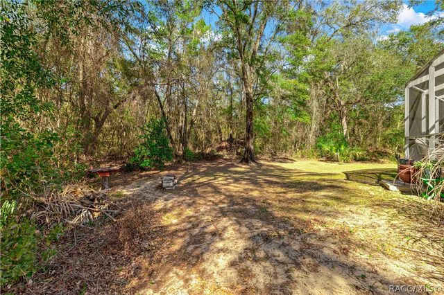 10100 N Wayland Avenue, Citrus Springs, FL 34434