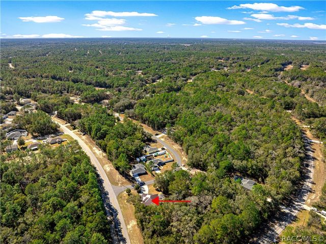 10100 N Wayland Avenue, Citrus Springs, FL 34434