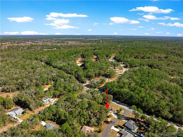 10100 N Wayland Avenue, Citrus Springs, FL 34434