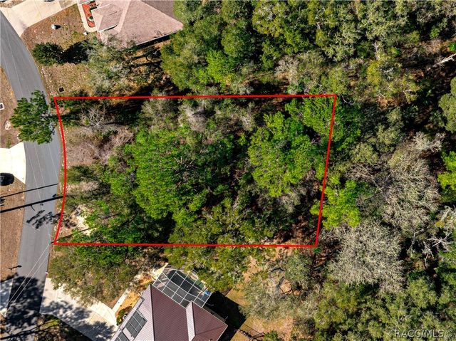 10100 N Wayland Avenue, Citrus Springs, FL 34434