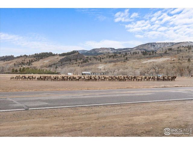 6600 Tamarax Ct, Loveland, CO 80538