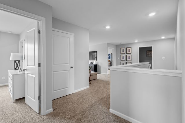 2916 Savana Drive, Joliet, IL 60435