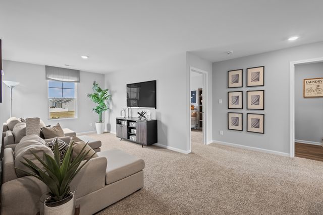 2916 Savana Drive, Joliet, IL 60435