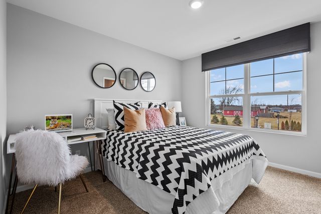 2916 Savana Drive, Joliet, IL 60435