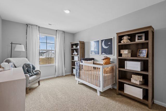 2916 Savana Drive, Joliet, IL 60435