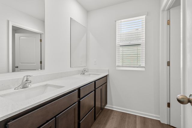 2916 Savana Drive, Joliet, IL 60435