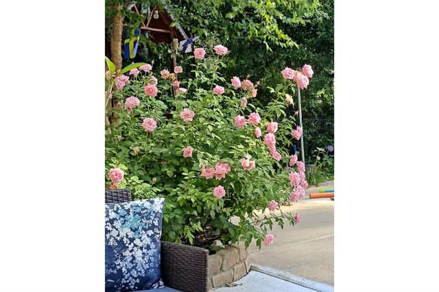 587 Melmont Street, Conroe, TX 77302