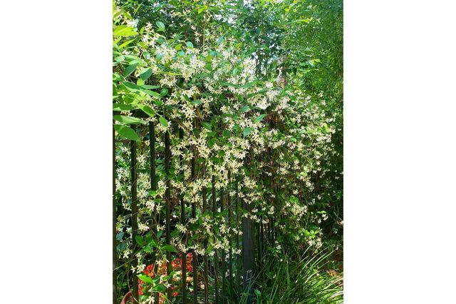 587 Melmont Street, Conroe, TX 77302