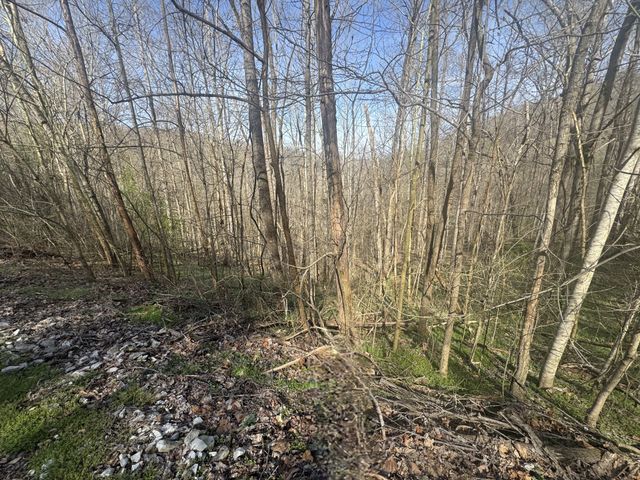 154 Center Hill Shores Drive, Smithville, TN 37166