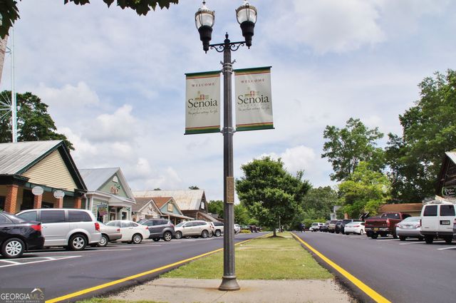 84 Magnolia Place Way, Senoia, GA 30276