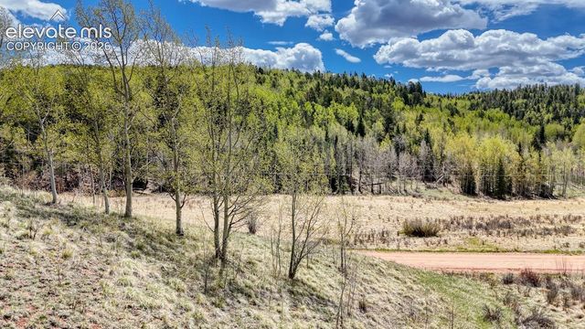 2031 Gold King Drive, Cripple Creek, CO 80813