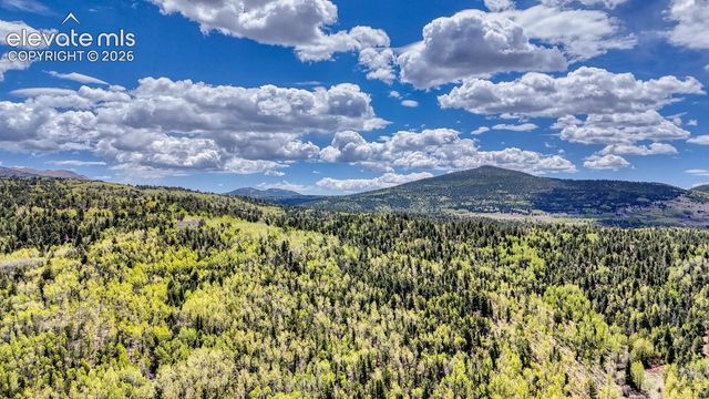 2031 Gold King Drive, Cripple Creek, CO 80813