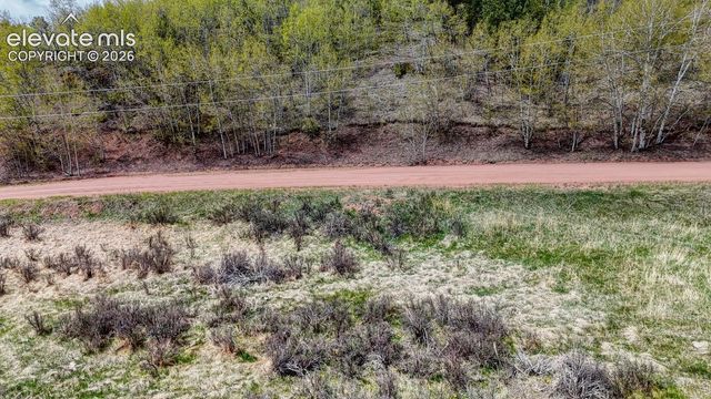 2031 Gold King Drive, Cripple Creek, CO 80813