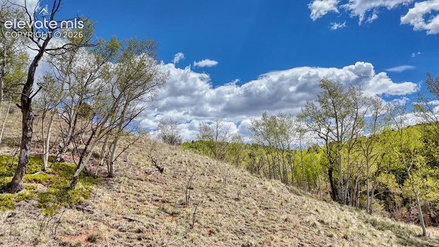 2031 Gold King Drive, Cripple Creek, CO 80813