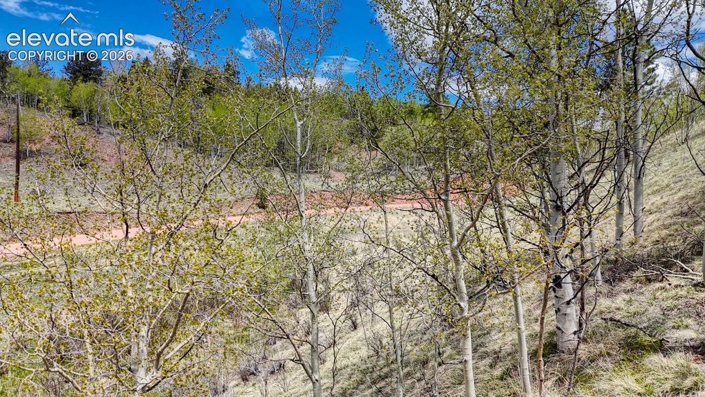 2031 Gold King Drive, Cripple Creek, CO 80813