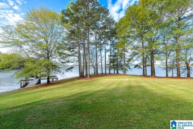 99 WATERS EDGE WAY, Alpine, AL 35014