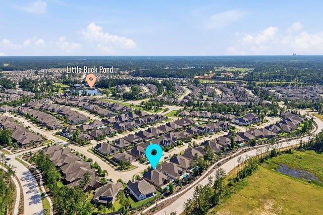 15265 Hemingway Heights Drive, Conroe, TX 77302