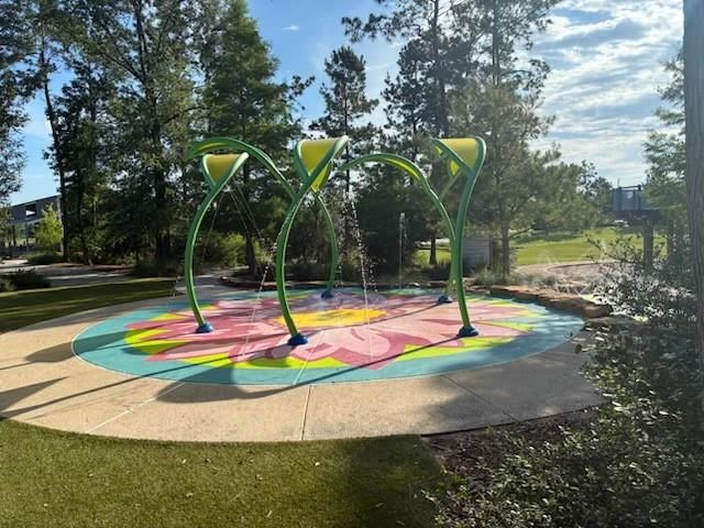 15265 Hemingway Heights Drive, Conroe, TX 77302