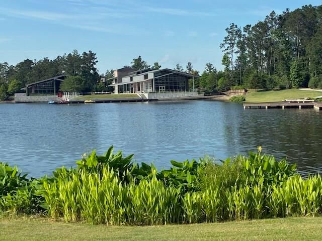 15265 Hemingway Heights Drive, Conroe, TX 77302