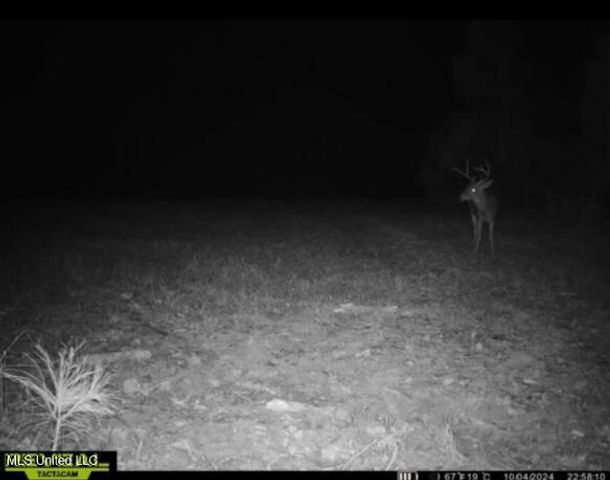 Eden Midway Road, Yazoo City, MS 39194