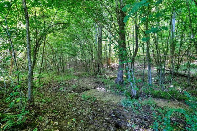 336 County Road 105, Athens, TN 37303