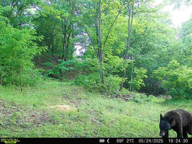 13608 Sugar Mountain Road, West Fork, AR 72774